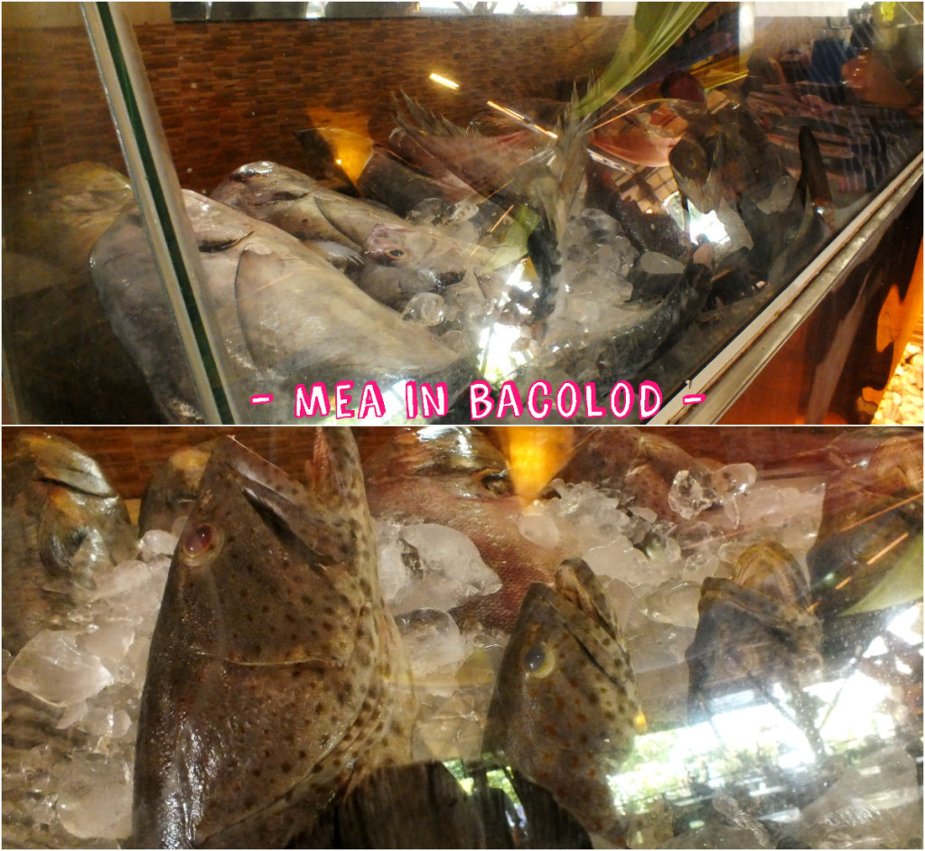 18th Street Pala-Pala Bacolod - Fish Display - 8