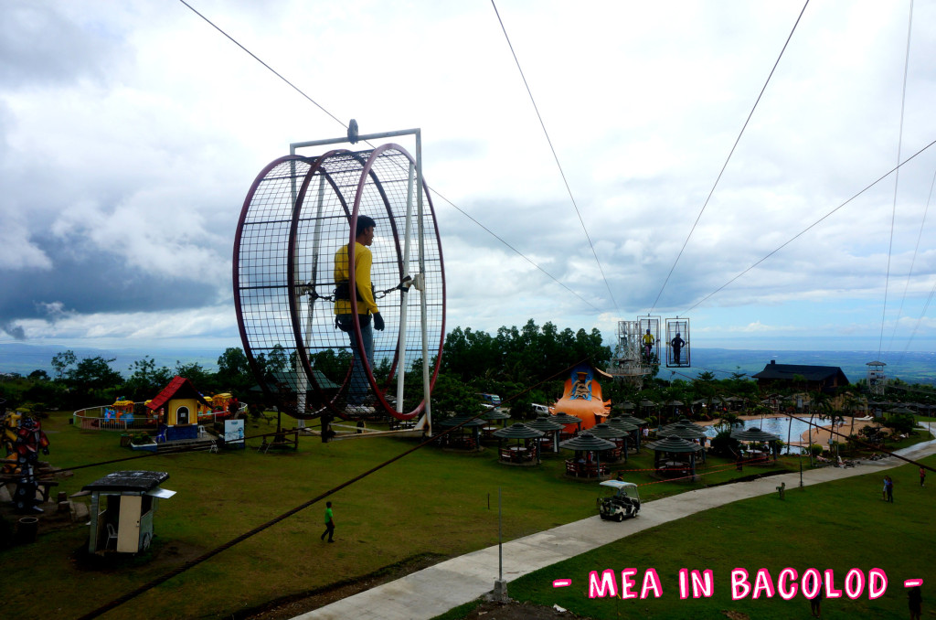 Campuestohan Highlands Resort Hamster Wheel 1