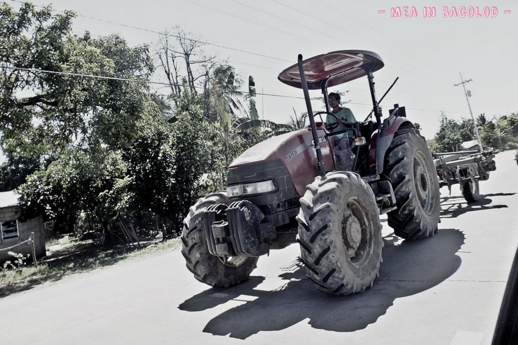 A tractor at Negros Occidental