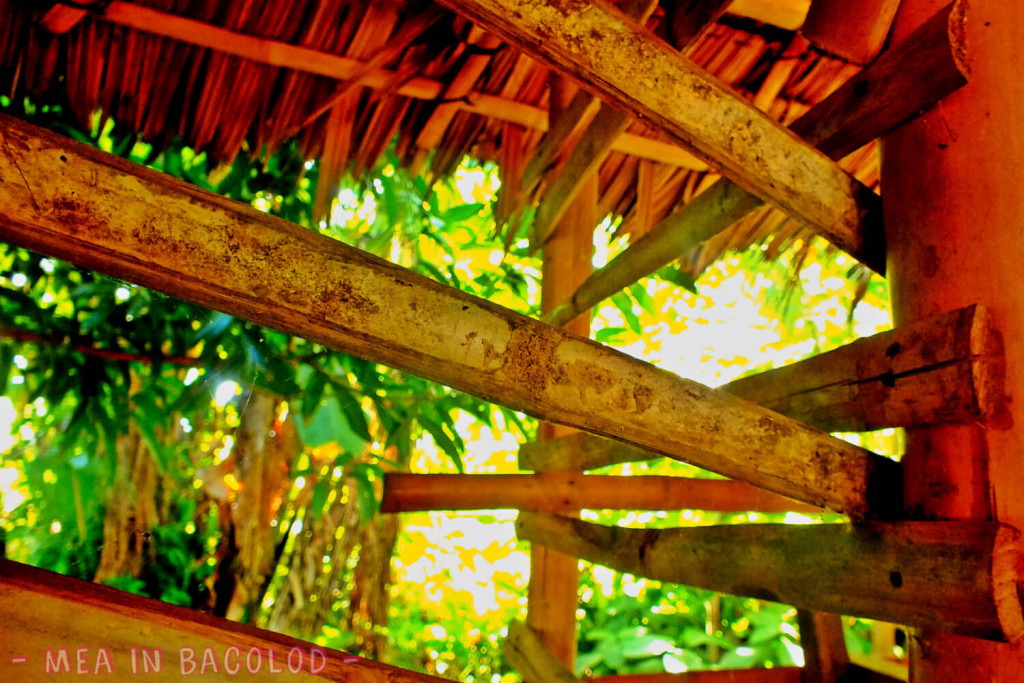 Bahay Kubo in Negros Occidental