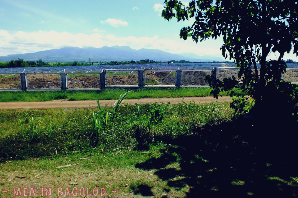 Solar panels in San Carlos, Negros Occidental.